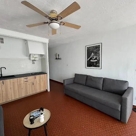 Apartment Cyprien Saint-Cyprien (Pyrenees-Orientales)